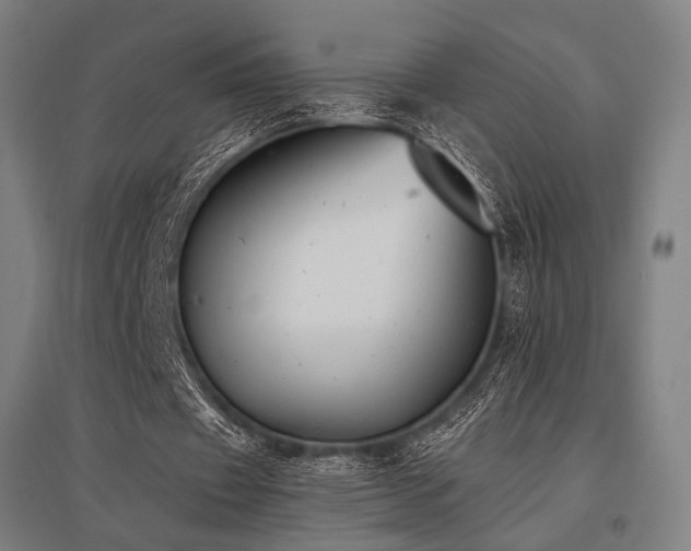 X0000096180433200801181315
