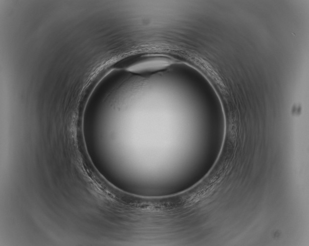 X0000096180434200801181315