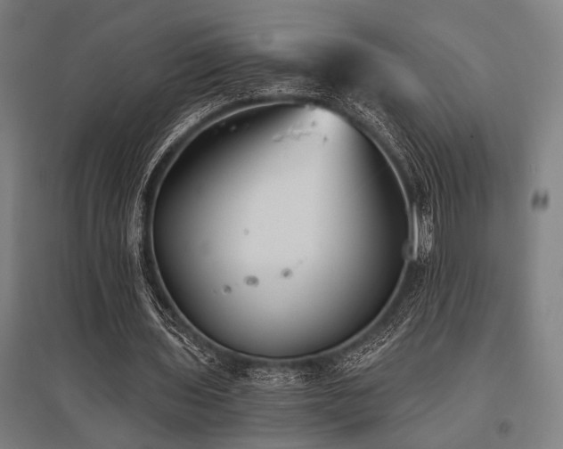 X0000096180435200801181315