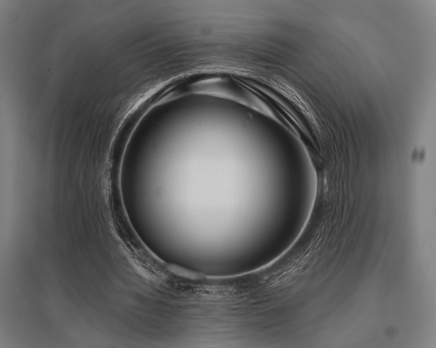 X0000096180436200801181315