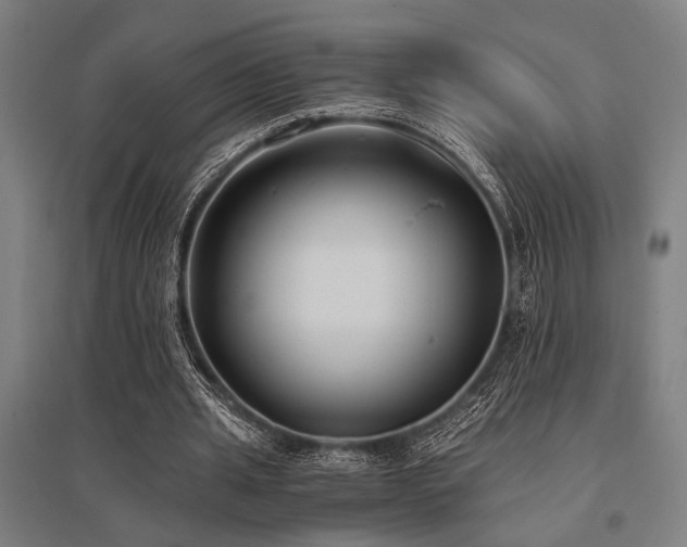 X0000096180437200801181315