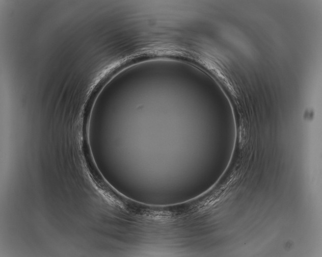 X0000096180438200801181315