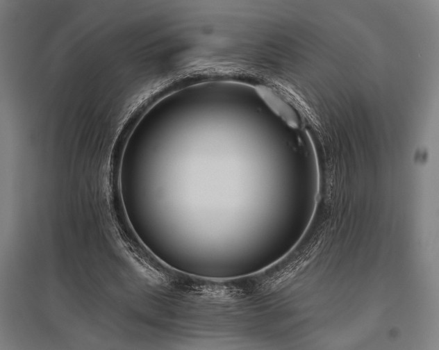 X0000096180439200801181316