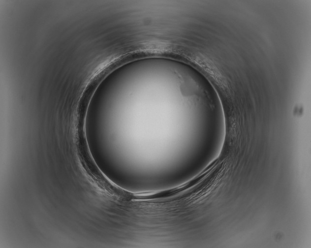 X0000096180440200801181316