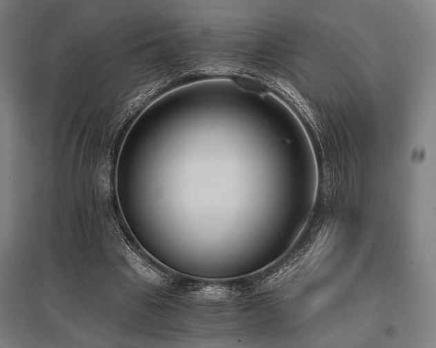 X0000096180441200801181316