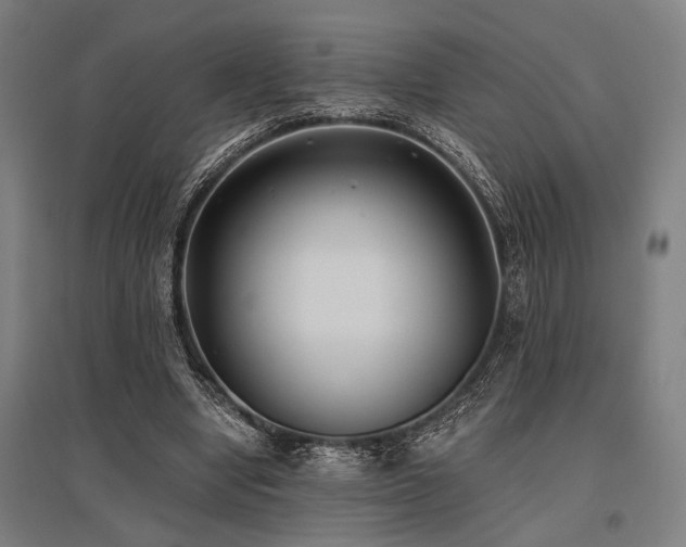 X0000096180442200801181316