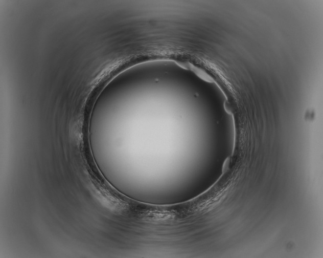 X0000096180443200801181316