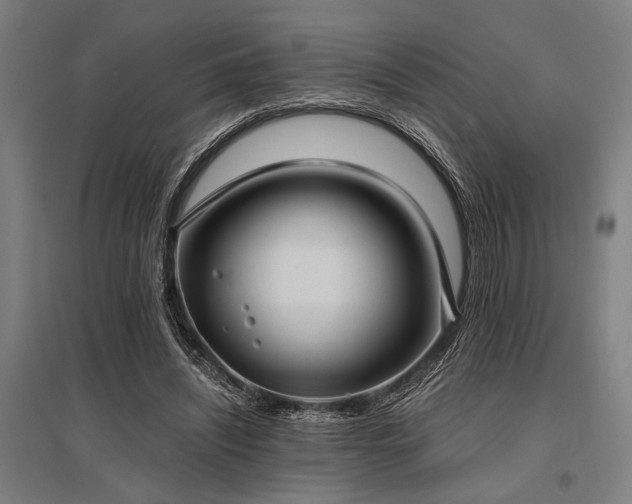 X0000096180444200801181316
