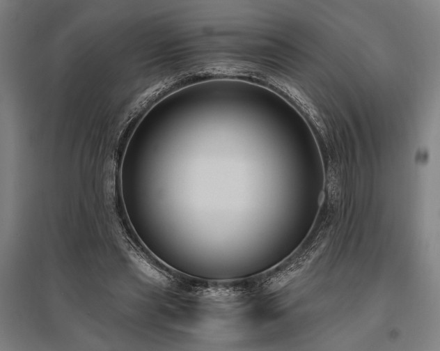 X0000096180445200801181316