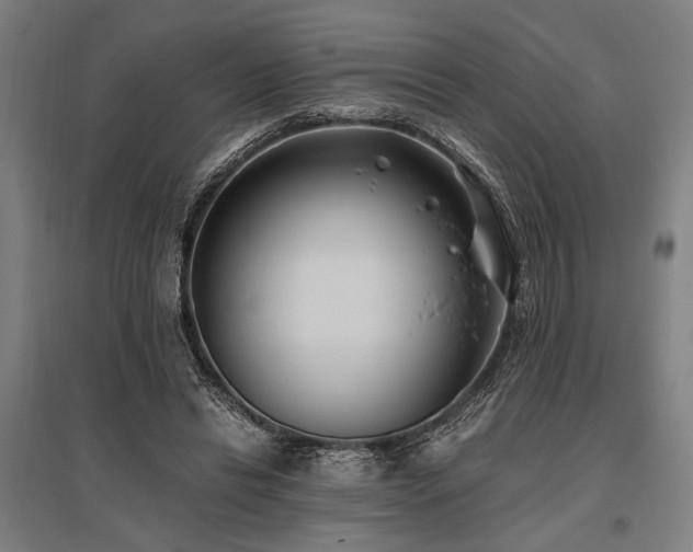 X0000096180446200801181316