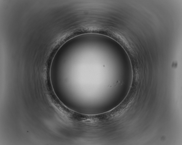 X0000096180447200801181316