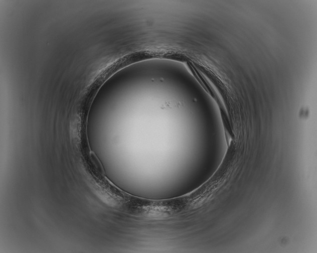 X0000096180448200801181316