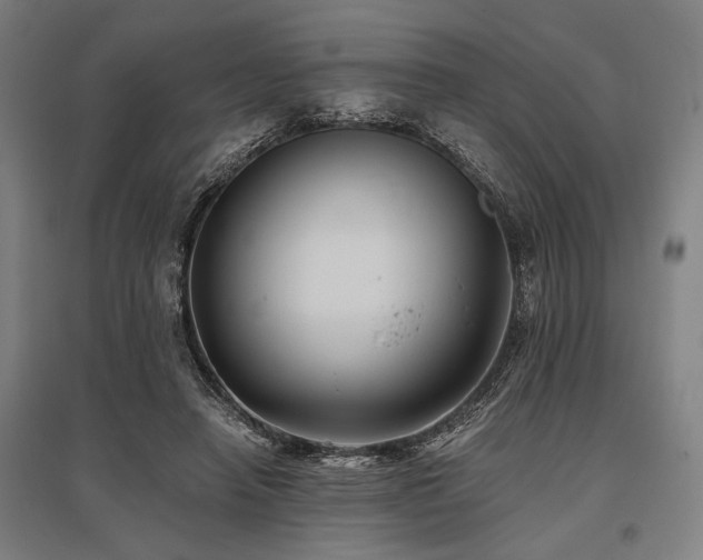 X0000096180450200801181316