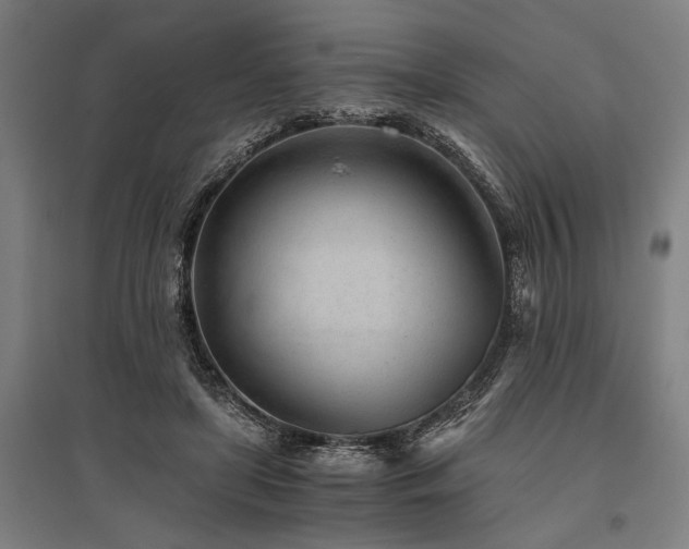 X0000096180451200801181316