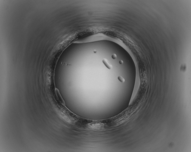 X0000096180452200801181316
