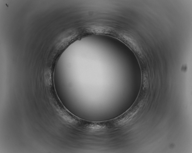 X0000096180453200801181316
