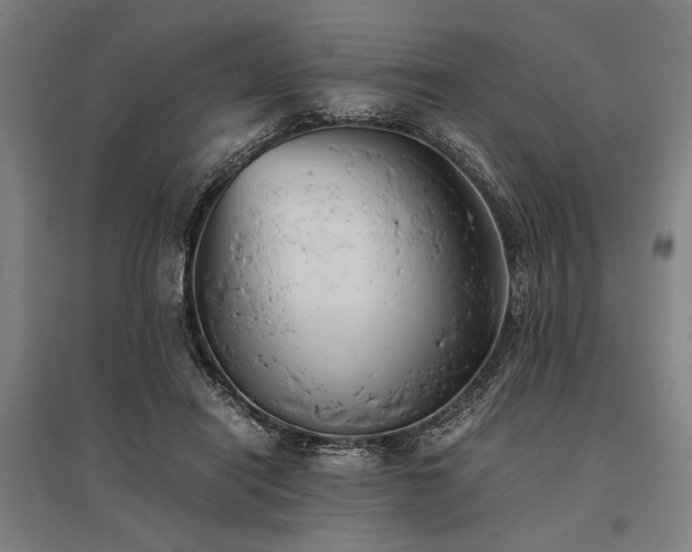 X0000096180454200801181316