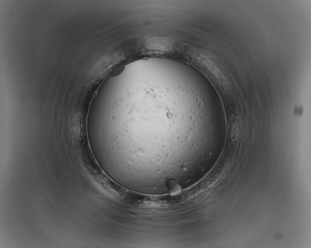 X0000096180455200801181316