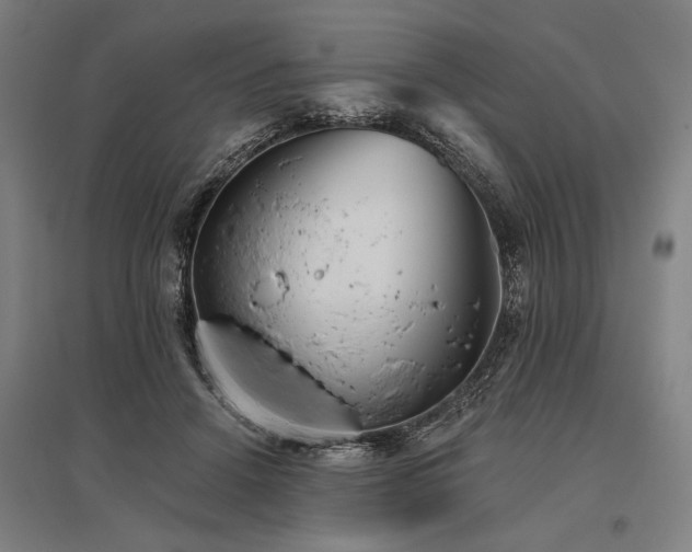 X0000096180456200801181316