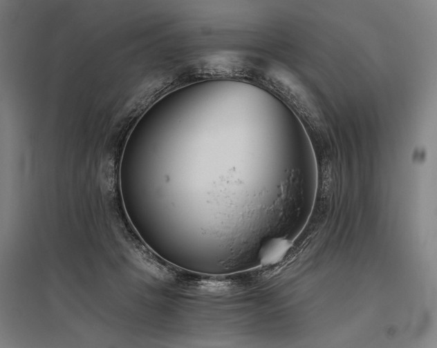 X0000096180457200801181316