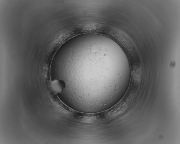 X0000096180458200801181316