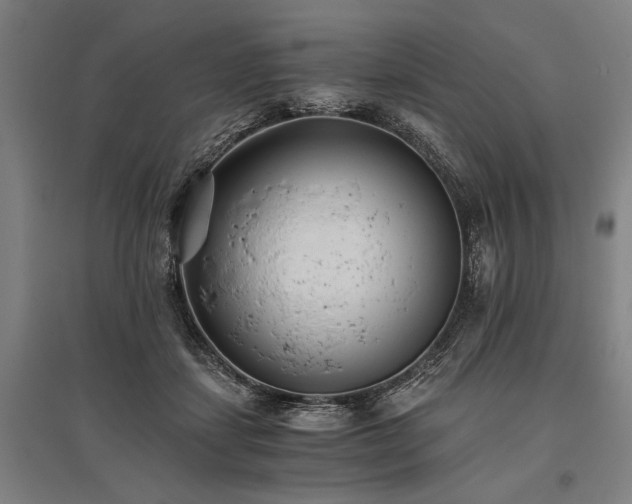 X0000096180459200801181316
