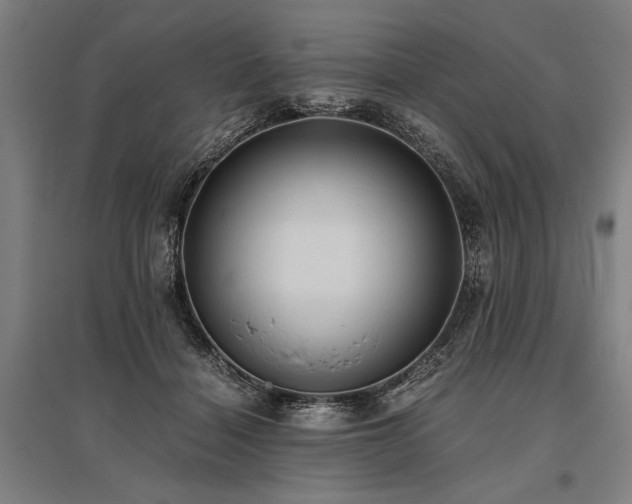 X0000096180460200801181316