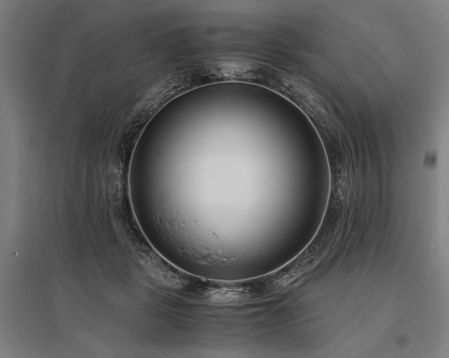 X0000096180461200801181316