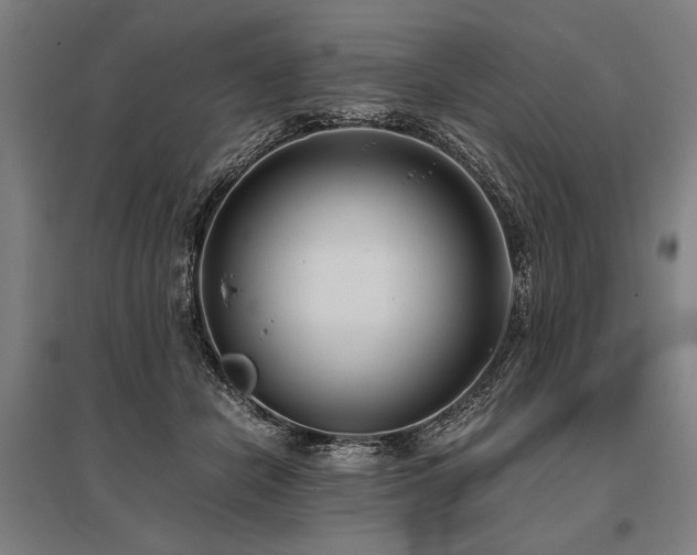 X0000096180462200801181316