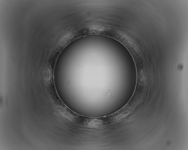 X0000096180463200801181316