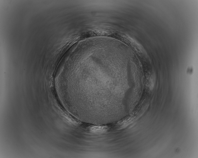 X0000096180465200801181316