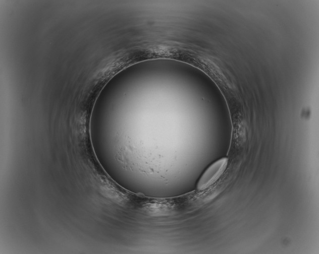 X0000096180466200801181316