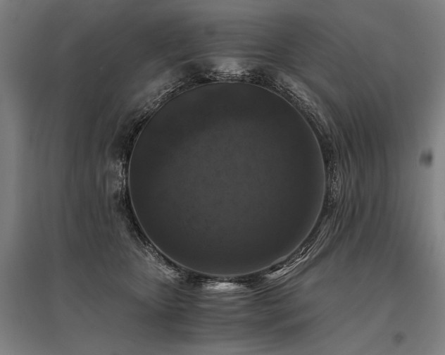 X0000096180467200801181316
