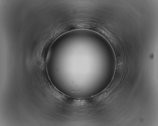 X0000096180469200801181316