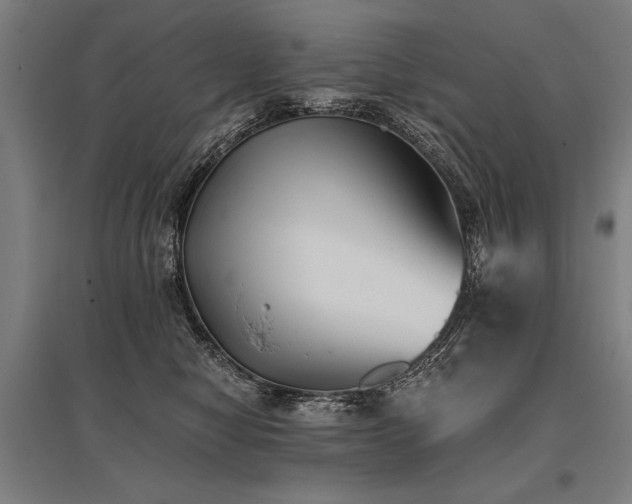 X0000096180470200801181316