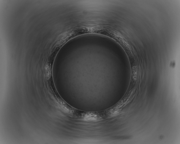 X0000096180471200801181316