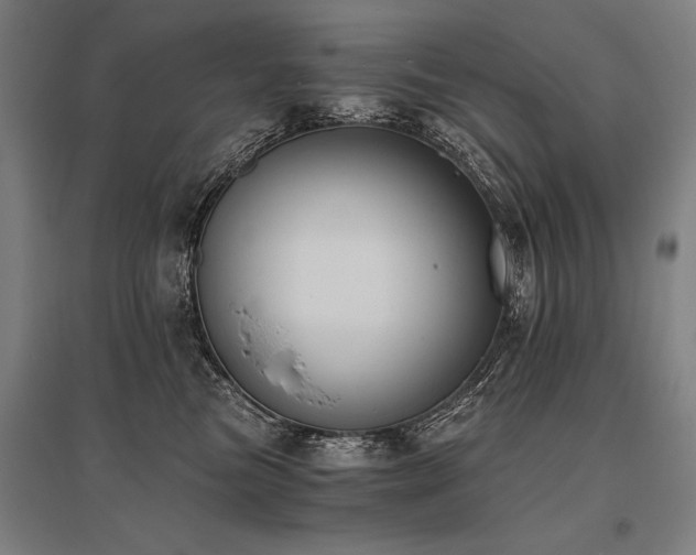X0000096180473200801181316