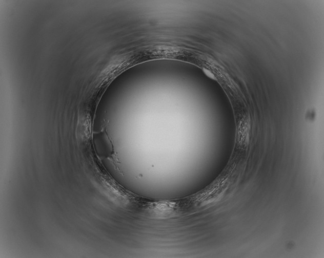 X0000096180474200801181316