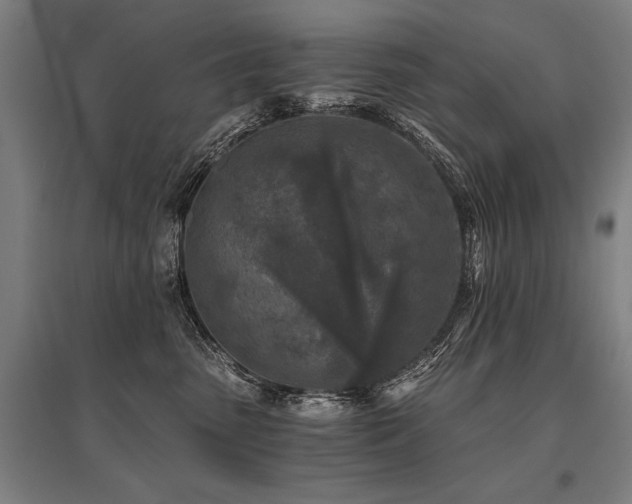 X0000096180475200801181316