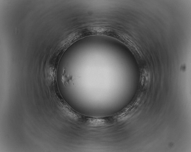 X0000096180476200801181316