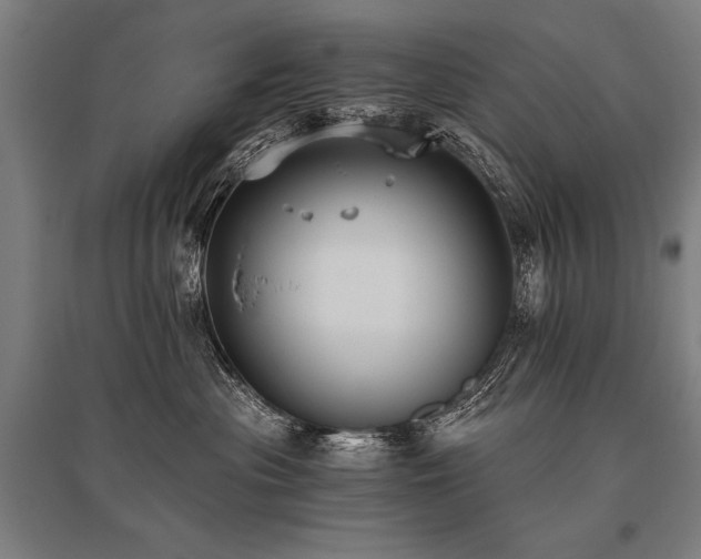 X0000096180477200801181316