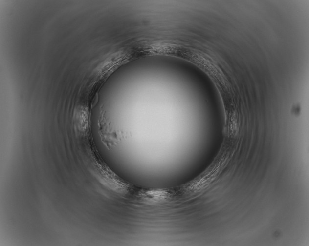 X0000096180478200801181316