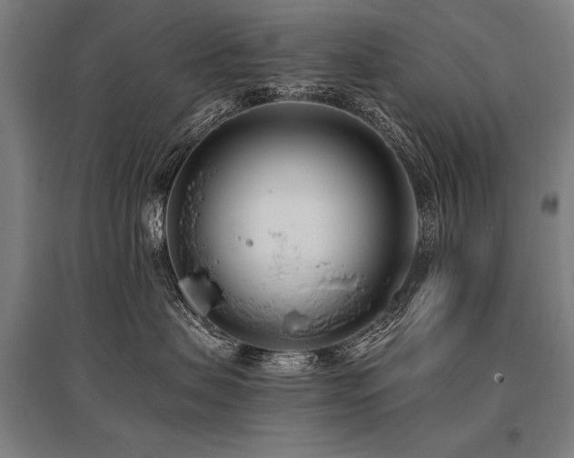X0000096180479200801181316