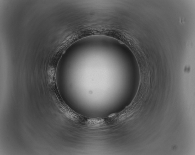 X0000096180480200801181316