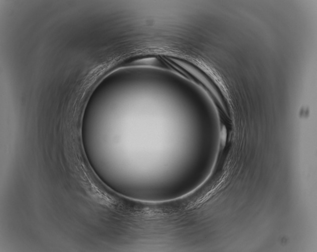 X0000096180481200801181315