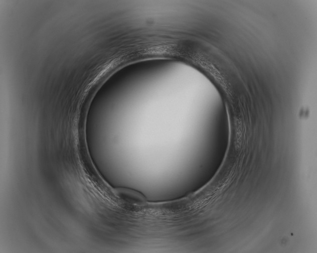 X0000096180482200801181315