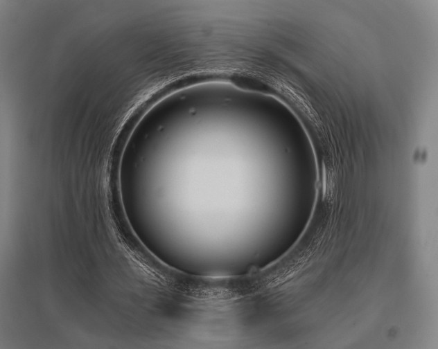 X0000096180483200801181315