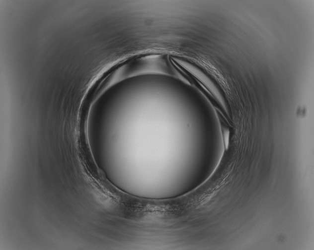 X0000096180484200801181315