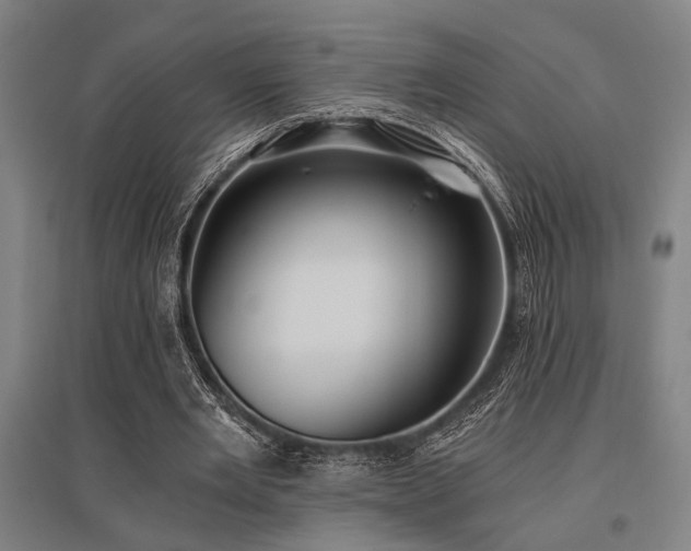 X0000096180485200801181315