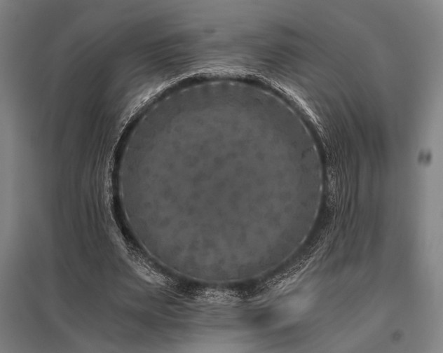 X0000096180487200801181315